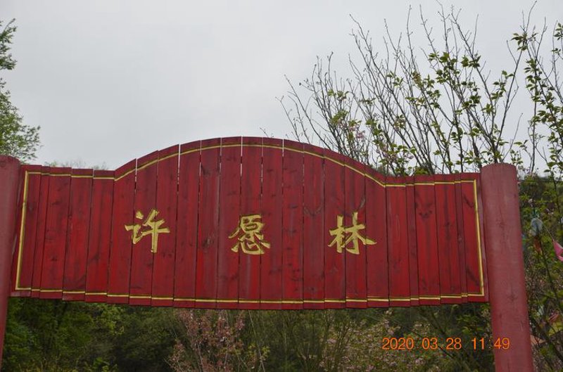 郓城旅游景点：探寻千年古韵的魅力